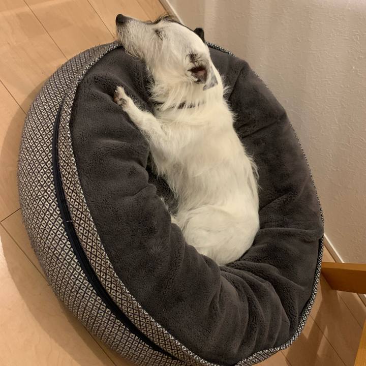 B7f246dc 9da8 4825 8ccf 434803f796b6 1655639439875