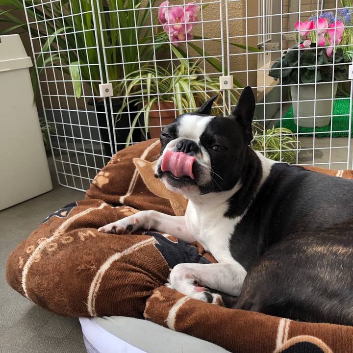 B7f249e1 b860 4dda 8e5b 0b3d26c10a2b 1680140698724