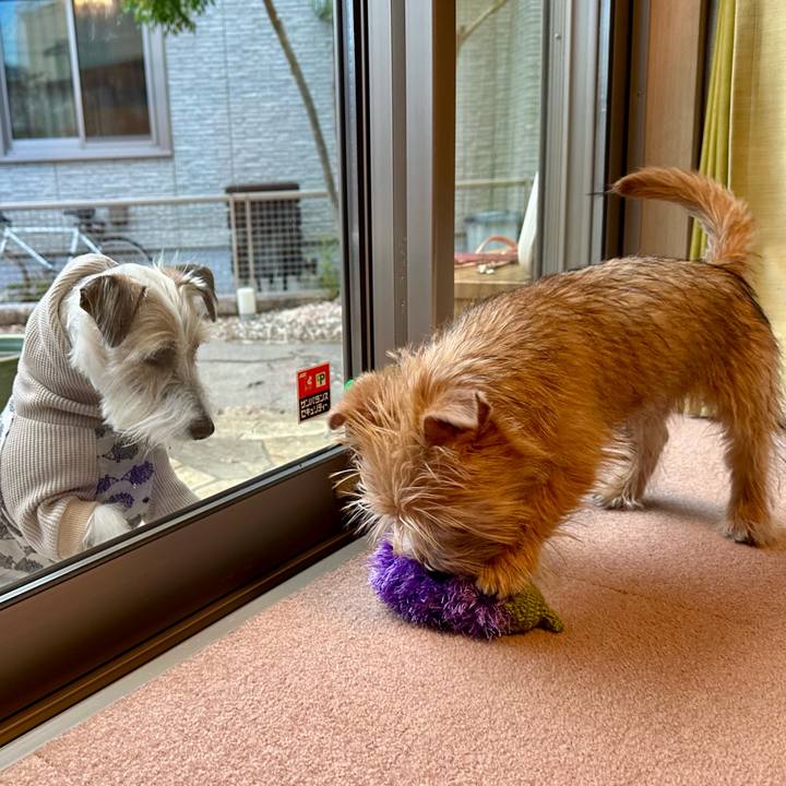 B7f25d6c 709e 4e7b 858c 0d5c438fcff8 1704638994980