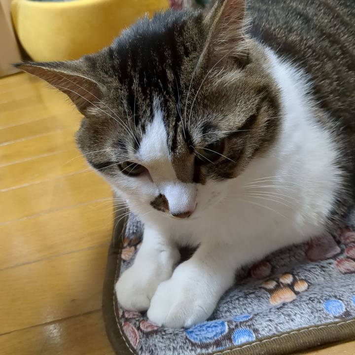 B7f274dd c52e 43fb 84b3 f294c2e3e197 1672053031172