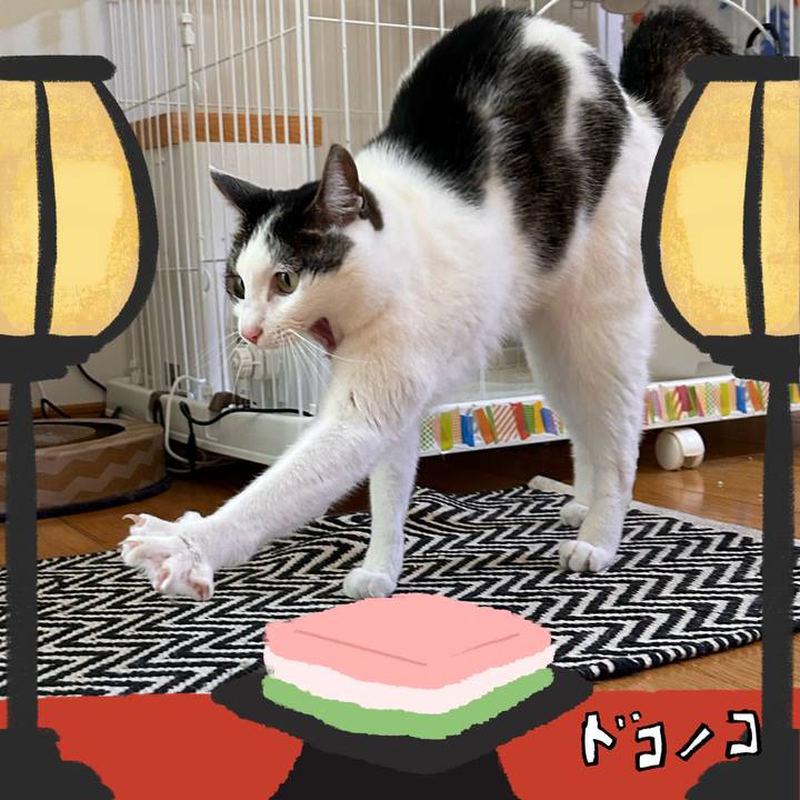 B7f2837e 648a 4662 a918 491c3994a24f 1741269120440