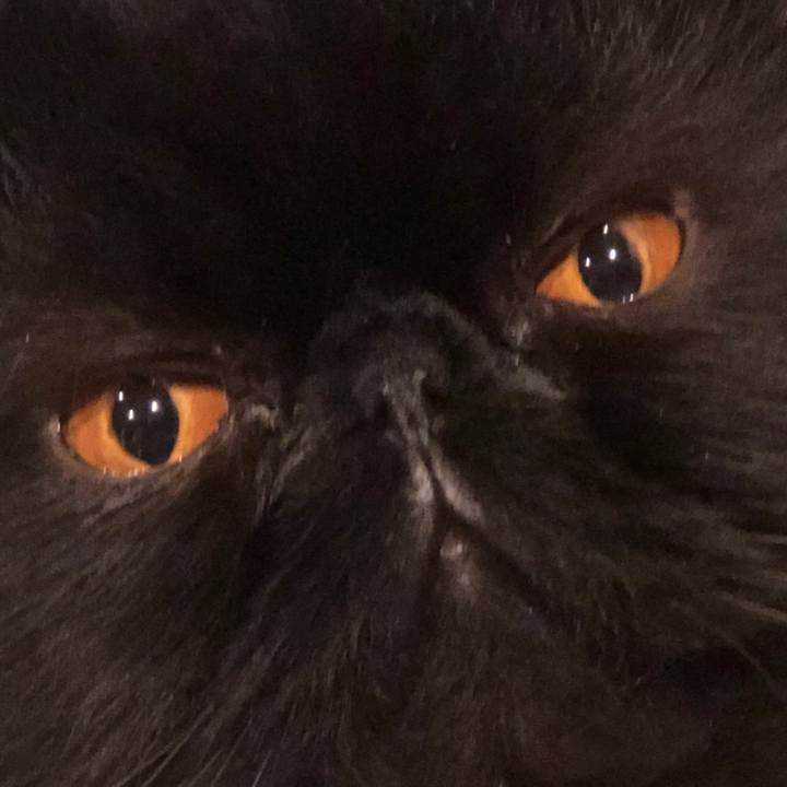 B7f2a0d7 d18d 465f 8bd5 240f7ecbe3d0 1582977881656