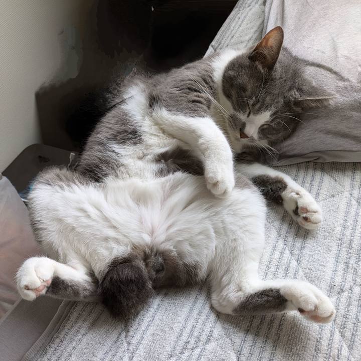 B7f2a63b 19e0 44b4 ac64 926c41d206b7 1729037520967