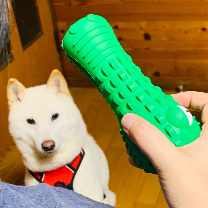 B7f2c0a0 ca63 4875 a236 3f5ba820d790 1610011243872