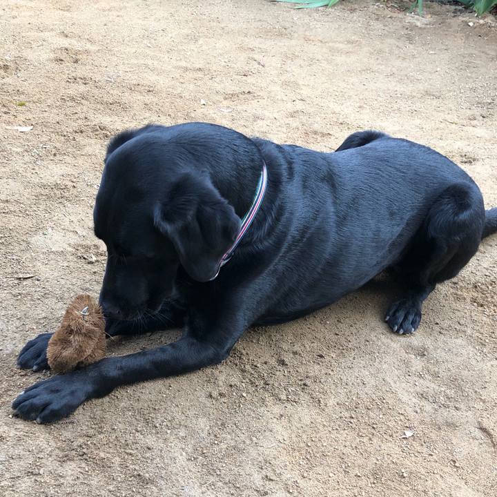 B7f2d4b5 ad0b 4105 817d edf5c7aedc4b 1576113015289