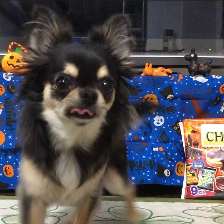 B7f31dab c0cc 4cca b100 60964768e3f3 1570278950653