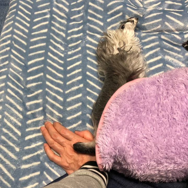 B7f356e5 6043 4b07 815e 4dca441271ae 1673110793683