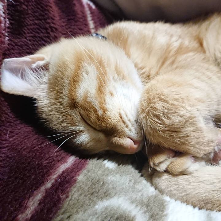 B7f3c639 ffba 44da 8f19 25ecdf5e2cca 1635339627853