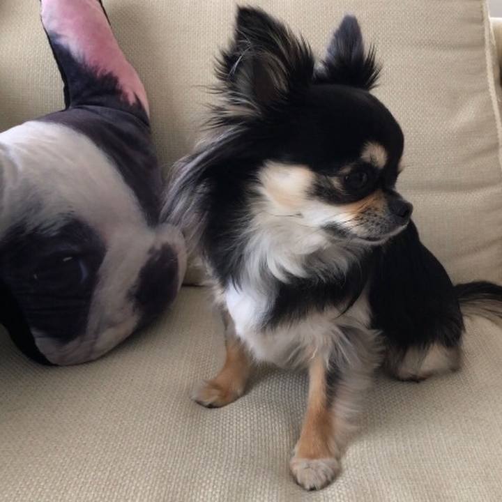 B7f3d280 6a0d 44bf 8055 04d832c9d99b 1587883780418