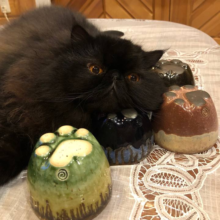 B7f3fbcb 7ee6 4ac8 b76d aab336545964 1555937244465