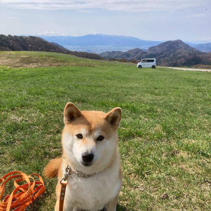 B7f40c27 f964 49d4 b44d 0c357399dd74 1714014440912