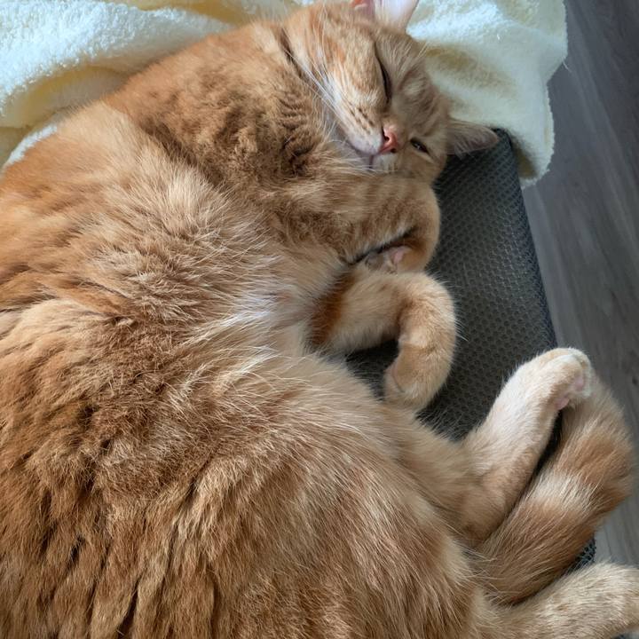 B7f42d24 6357 4a64 a130 5b345d284f99 1660954797096