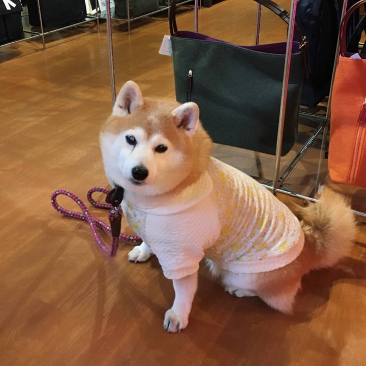 B7f43d12 403d 492a a256 1e2147e367e1 1581936501761