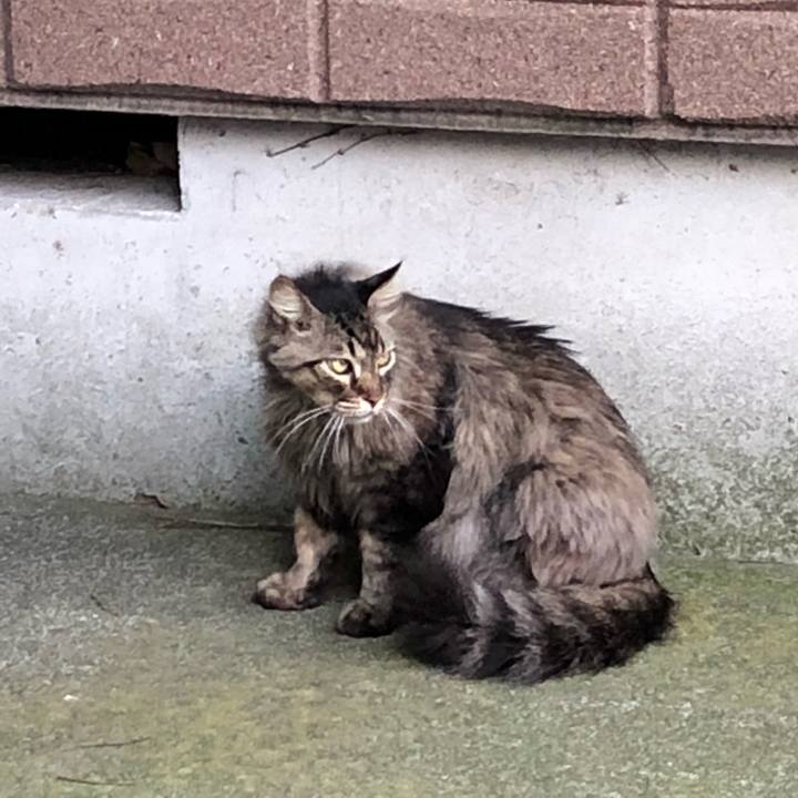 B7f45365 fe50 418a bb75 76d0ef61ffb1 1530242876054