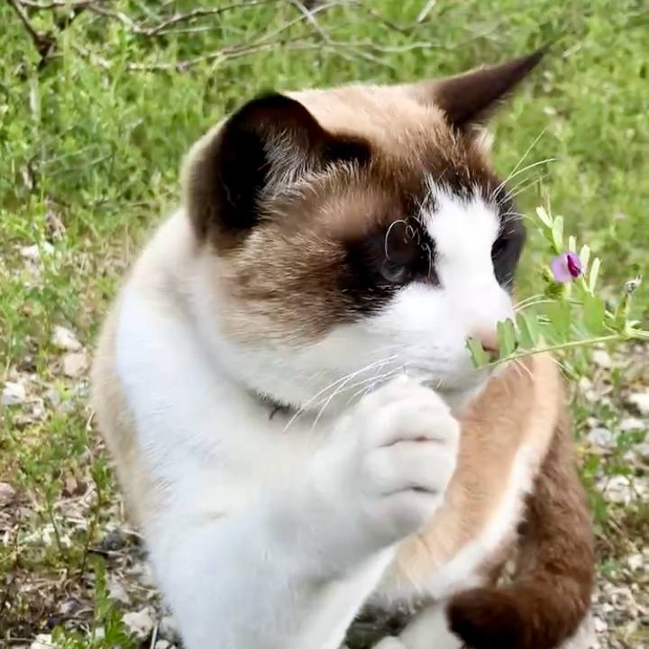 B7f4585f 98f3 42be afdc 6becc33f432b 1743645682981