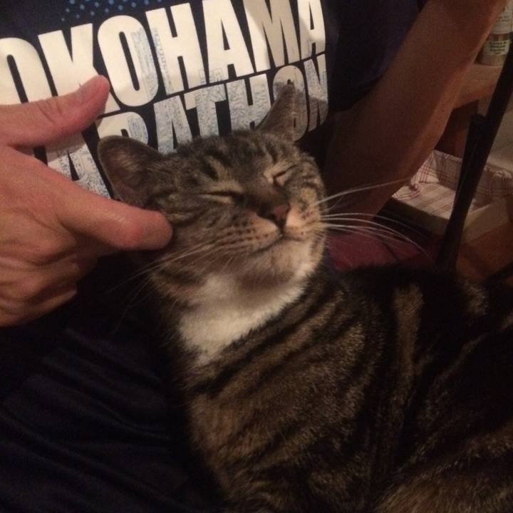 B7f477ac 4c11 4970 ac98 5c269b879a19 1560658037866