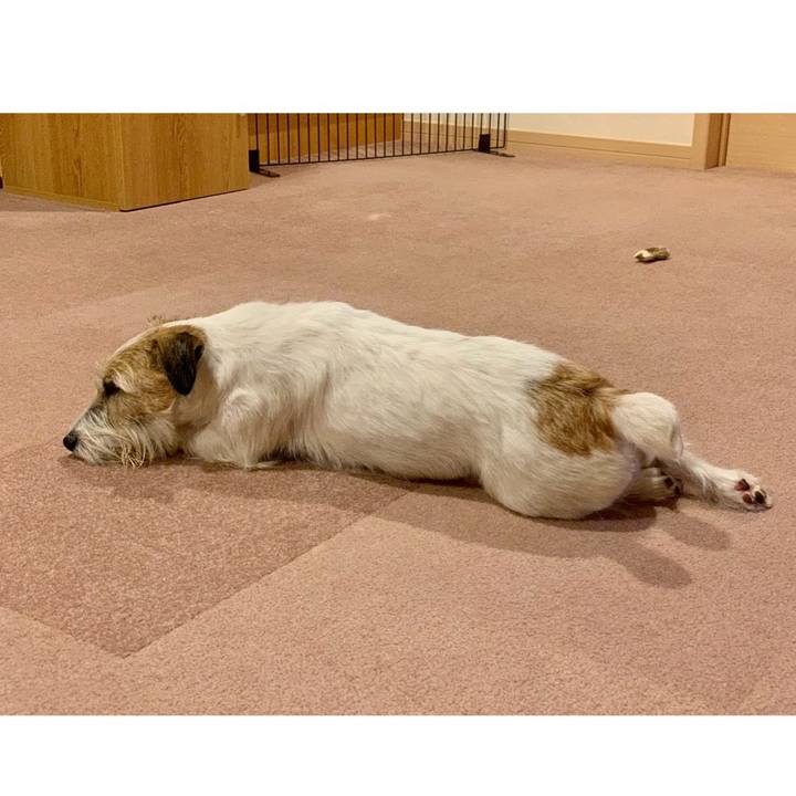 B7f47d19 ec23 45cd 800a 2561e5afbb6f 1658722228005