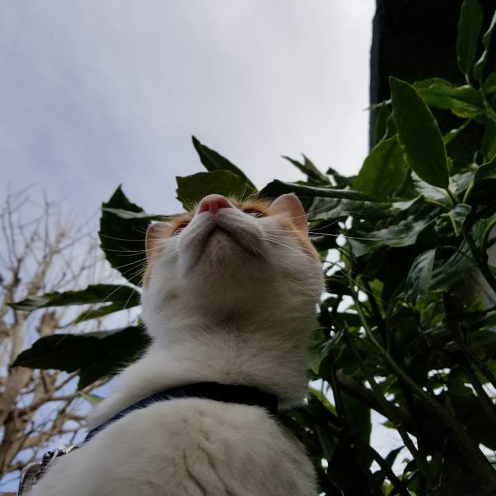 B7f48148 e7e4 4d3d a045 168791a4821a 1515395339365