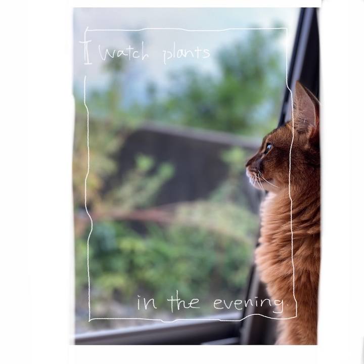 B7f49a26 5eca 41a3 9024 90268d8cee16 1664846450091