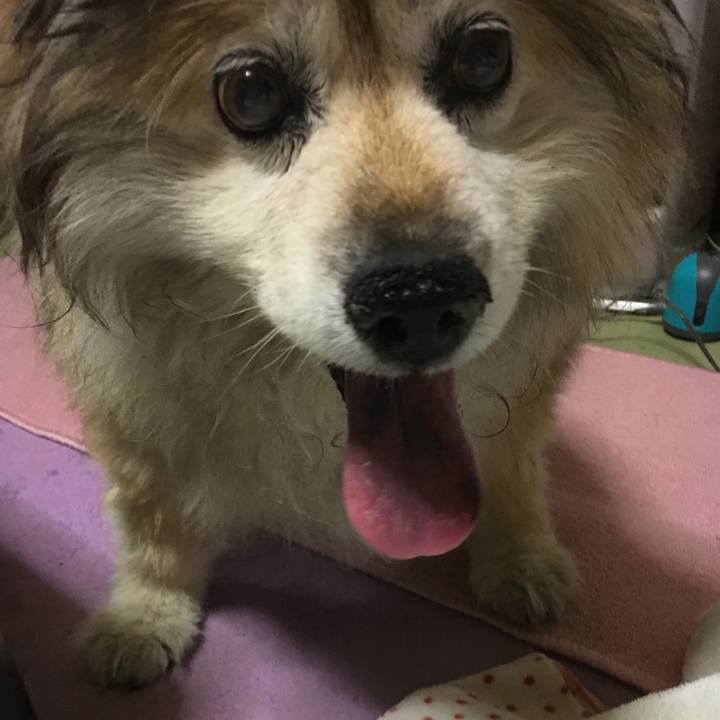 B7f4a29d 2b7b 4477 9b39 fc9d81431853 1633950385417