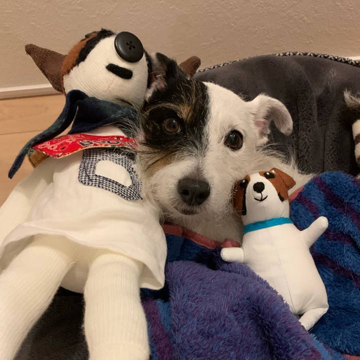 B7f4ca87 5d44 4b29 bb60 3bda359fed9b 1666873203686