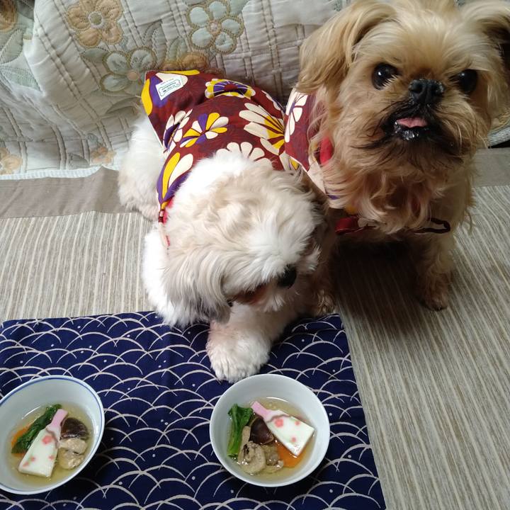 B7f52b5c 9180 4c25 ace6 f99db1ed0d1e 1609461652619