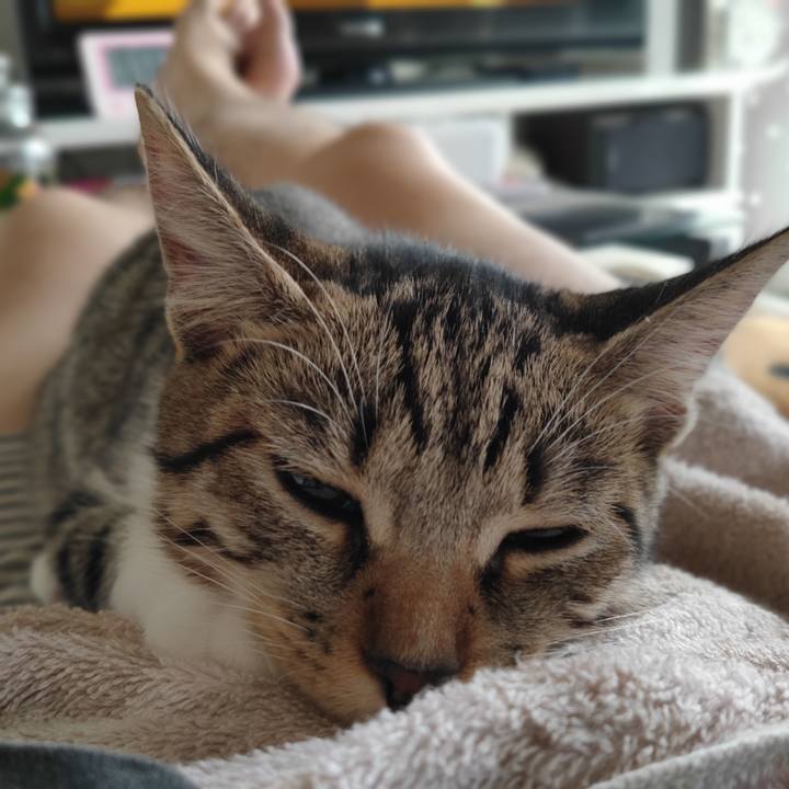 B7f538d8 86a2 444f a972 57f718a706a8 1631751585216