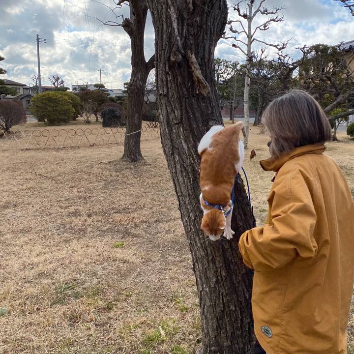 B7f57fea d6db 4f97 aa71 4228474ec092 1581242368446