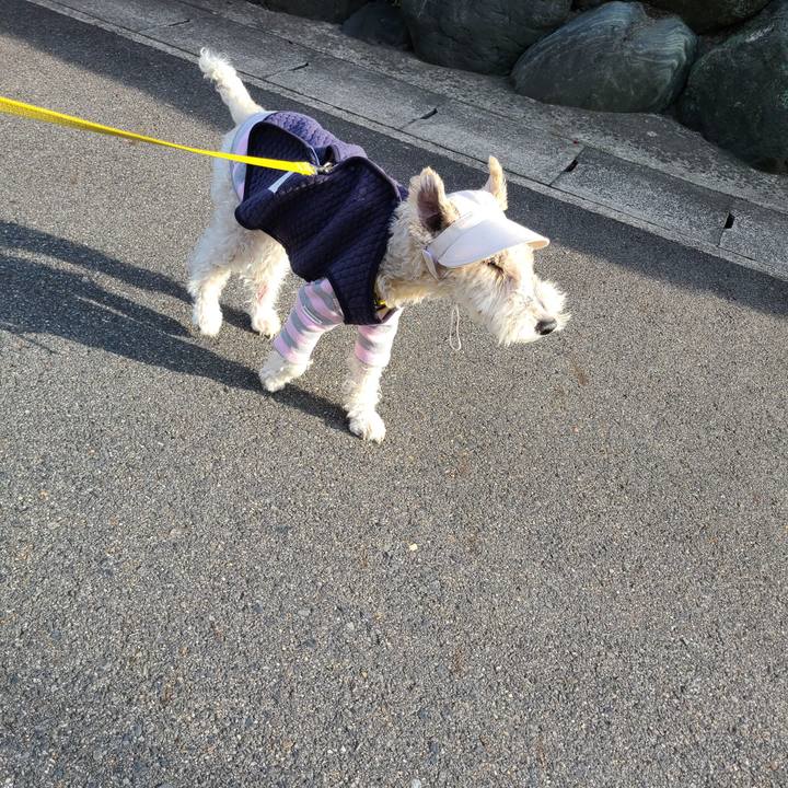 B7f58ae8 e4a2 43d9 875a 98128b33e06a 1677915294278