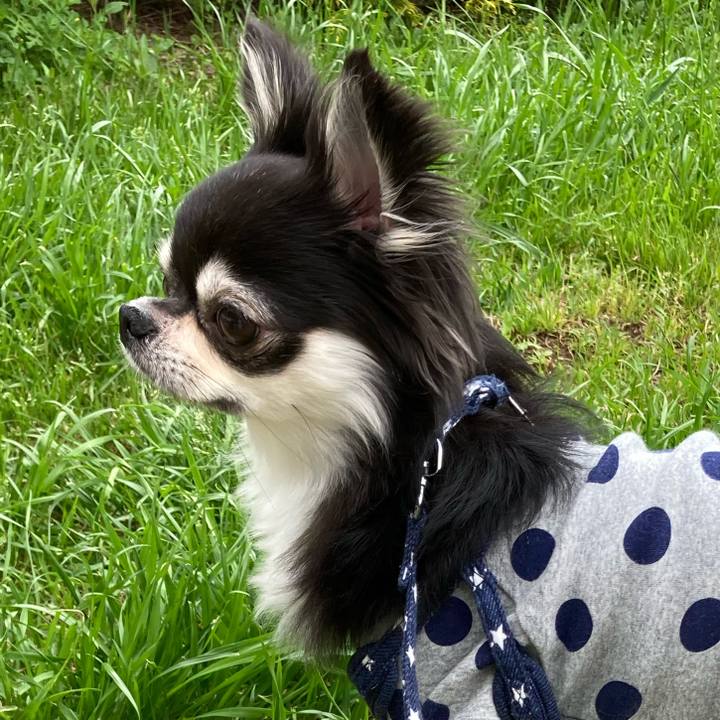 B7f618f3 e6d3 4b07 a17e 770cb446c6b9 1650779545799