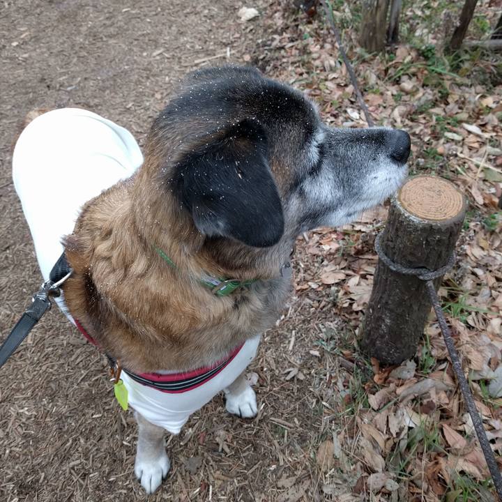 B7f63359 1488 4cd2 8d5e 42e00e568b51 1516580861717