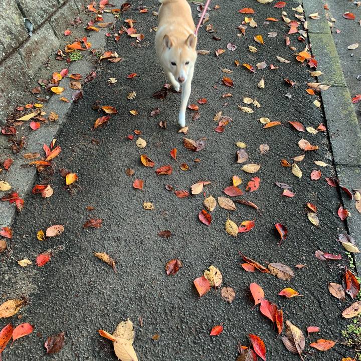 B7f66145 8f5c 4f34 b08c 8dbe7f307d73 1636504061122