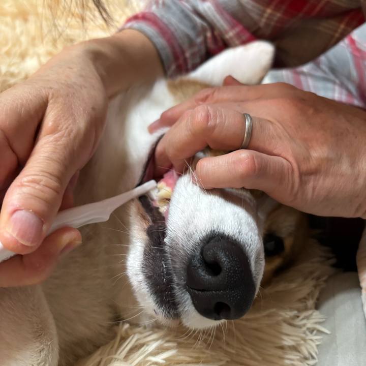 B7f66d91 823a 4ad4 b50a 3c6845448532 1769955140250