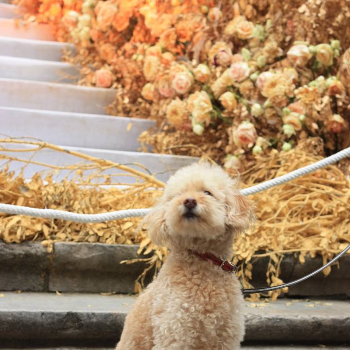 B7f6aa4a 5d0b 45a6 b39e 9334376a2940 1527015972663