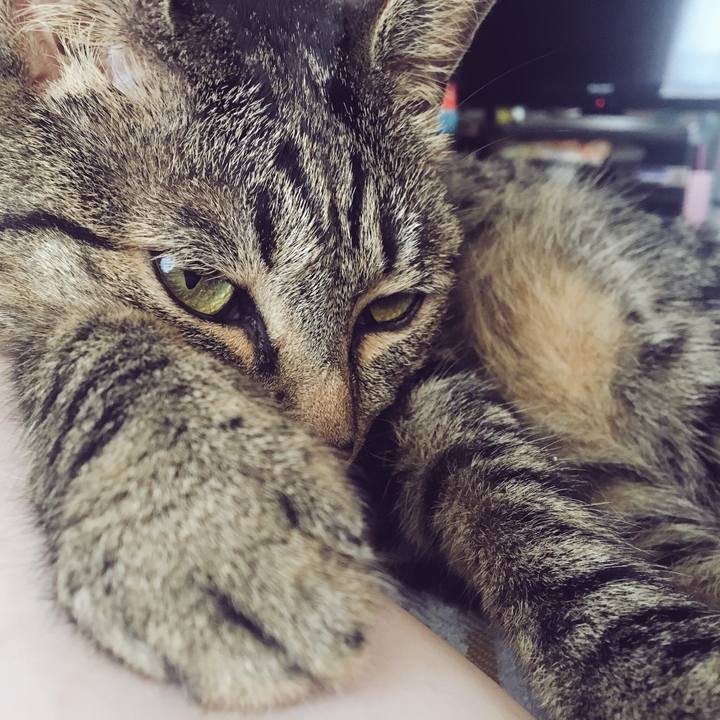 B7f6fec4 360b 4264 bbac ce5d853c3da3 1531294150409