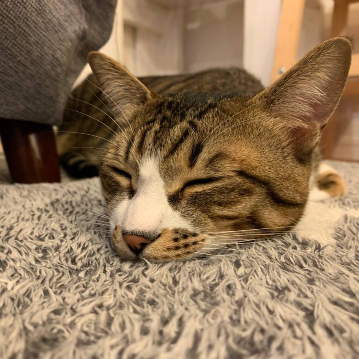 B7f70acb 41a1 4e98 9120 05f9f3b8104f 1638960293779