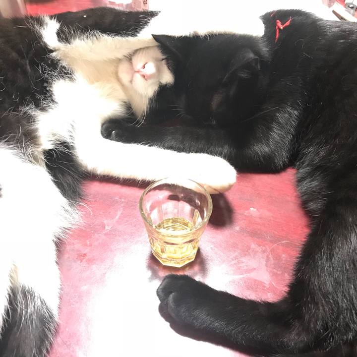 B7f71527 a943 450f b430 edd8725ffe35 1524771154784