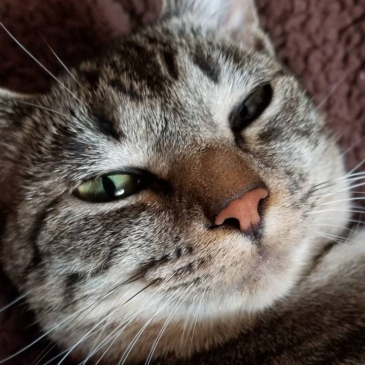 B7f73072 910c 4bb2 a1f3 d2e70f26b0ba 1688019247341