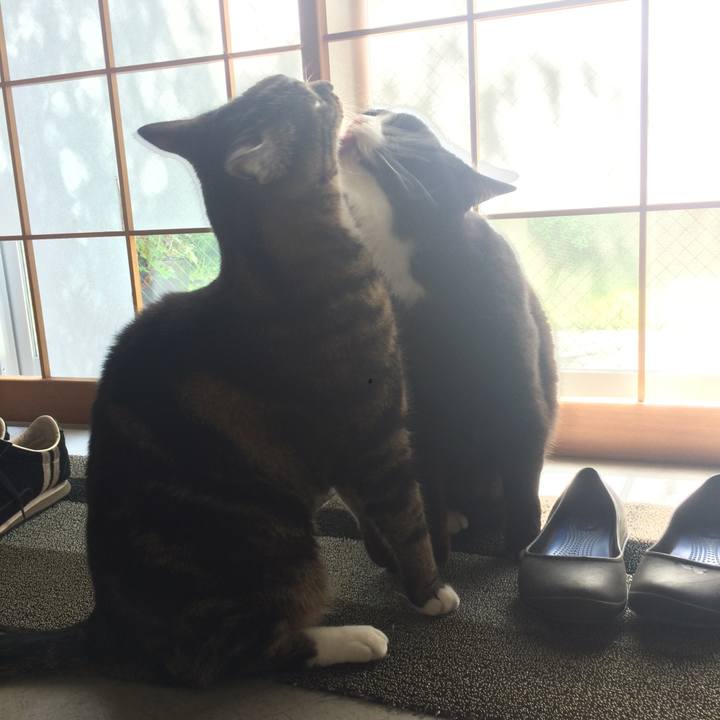 B7f76e03 f0e0 4248 a752 f554b8f08a46 1526333676056