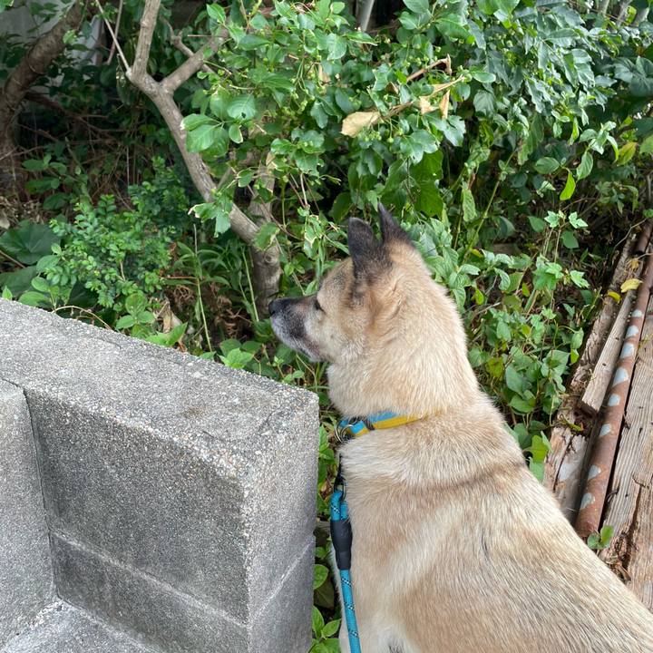 B7f78faf 50f1 49b7 9894 77cb8ac9abf1 1692189771636