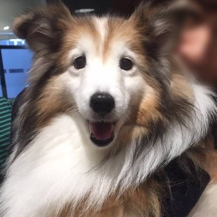 B7f7a34c 6c84 4e5c 817d 5e97ceb1e5c8 1584198835524