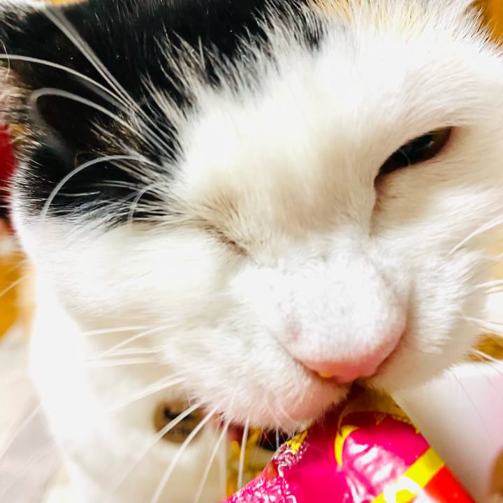 B7f7e08a fe91 477b a8a1 4888c316e80b 1708602218104