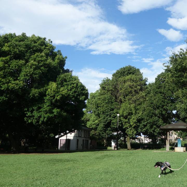 B7f85497 b865 48b3 a556 aadd5a48ece8 1660263525718