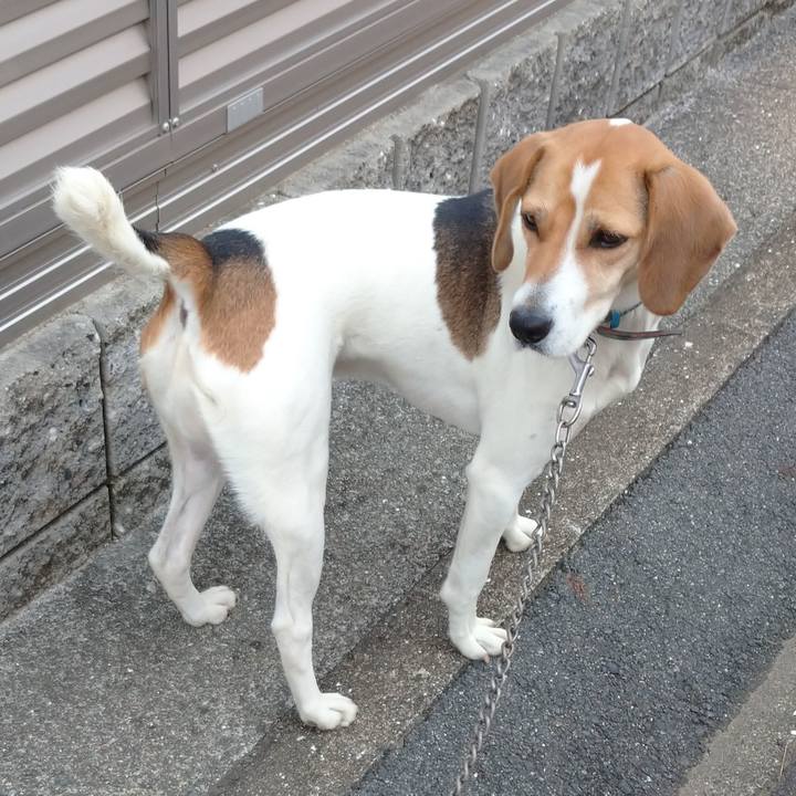 B7f86b81 6778 49d1 af1b 47240cdf4154 1606711403628