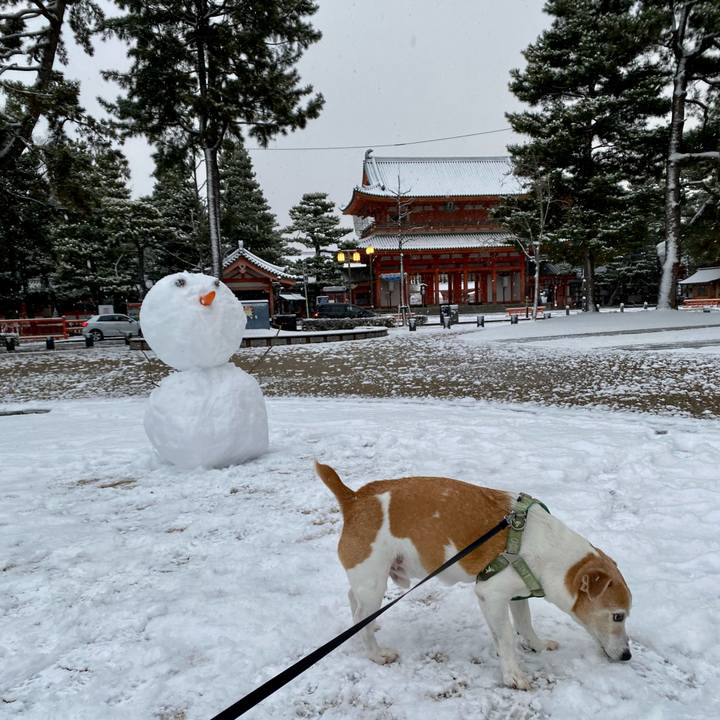 B7f87173 88de 49a8 8a52 124461b38cba 1642118329286