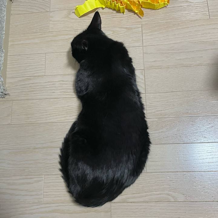 B7f87309 0096 43c8 992b 895bc46fa113 1706187540910