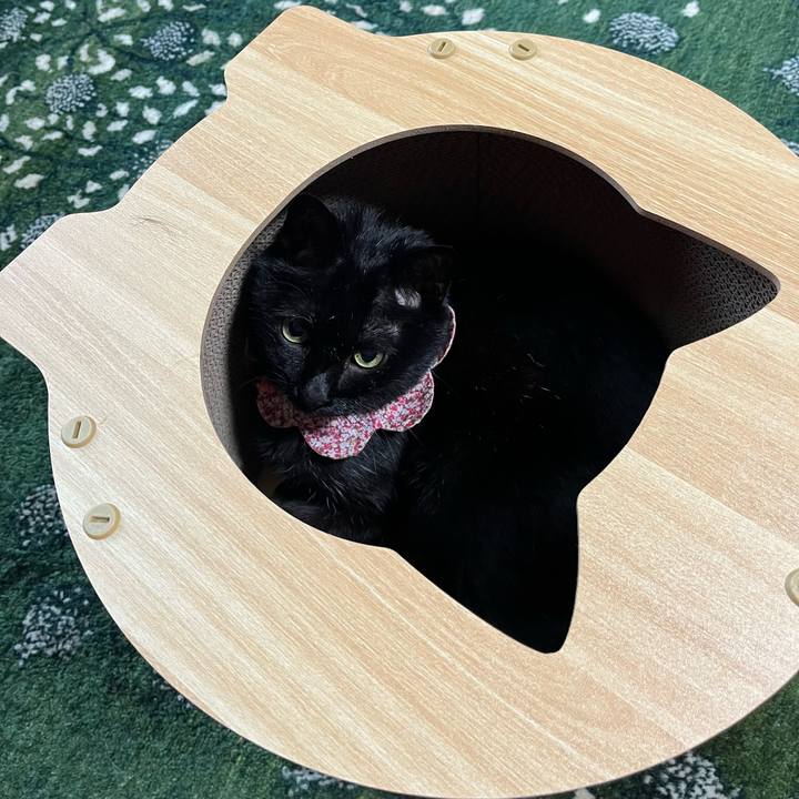 B7f88730 4e67 4640 8619 9b0d3646b07b 1774054117921