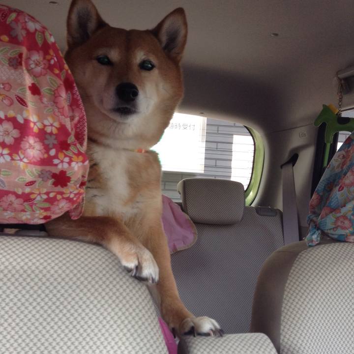 B7f8b114 f3c8 4289 9913 f95d8eb86728 1518755429164