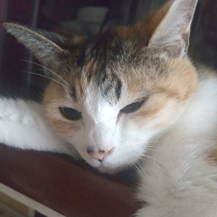 B7f8db94 c36a 4579 85eb 0fe8986cdaf8 1714710828699