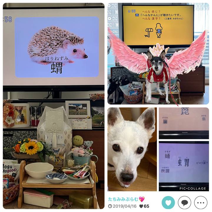 B7f906db eff5 44e7 9ee3 0bcb7fb6e727 1661293573017